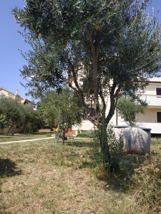 Giovanni Krk Krk Town Dış mekan fotoğraf